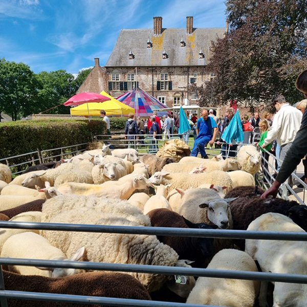 Diverse terrassen, live-muziek en evenementen, o.a. bij Kasteel Henen. Ervaar de gezelligheid op onze Stratenmarkt.