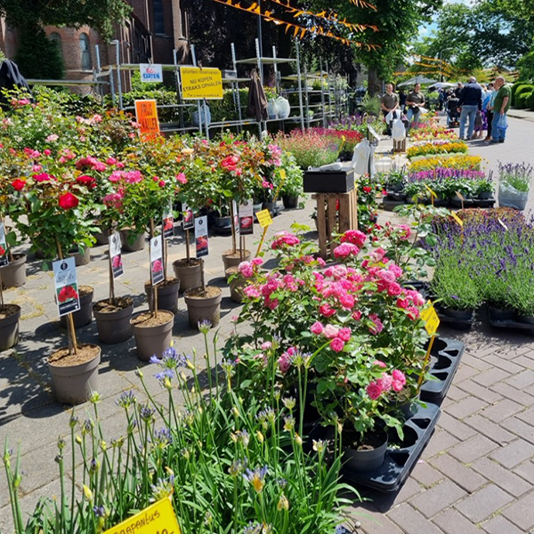 Op de Hernense Stratenmarkt vind je diverse soorten markten zoals de tuinmarkt